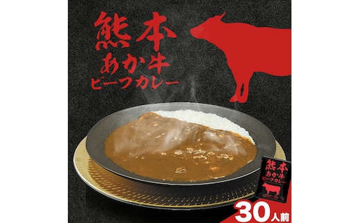 熊本県産あか牛使用 くまもとあか牛 ビーフカレー 30袋 1袋160g レトルト カレー パック 常備食 長期保存 送料無料《30日以内に出荷予定(土日祝除く)》---022-5001---