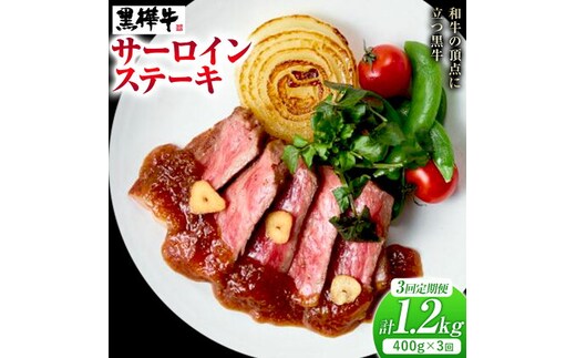【3ヶ月定期便】くまもと黒毛和牛 黒樺牛 A4-A5等級サーロインステーキ定期便 400g×3回 合計1.2kg 《お申し込み月の翌月から出荷開始》熊本県 菊池市 和牛 お肉 牛肉 黒毛和牛 霜降り ステーキ 定期便 国産 九州産 熊本県産 冷凍 送料無料---090-1528-R---