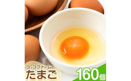 コッコファームのたまご 160個 コッコファーム《90日以内に出荷予定(土日祝除く)》熊本県 菊池市 卵 鶏卵 玉子 たまご 家庭用 熊本県産 九州産 冷蔵 送料無料---043-2019---