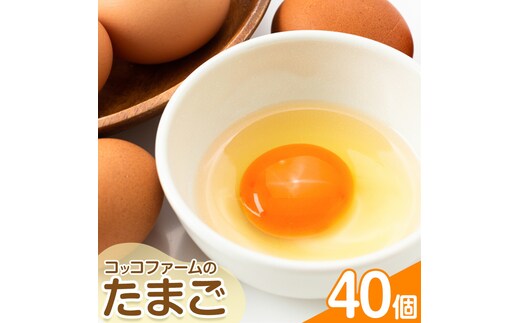 コッコファームのたまご 40個 コッコファーム《90日以内に出荷予定(土日祝除く)》熊本県 菊池市 卵 鶏卵 玉子 たまご 家庭用 熊本県産 九州産 冷蔵 送料無料---043-2444---