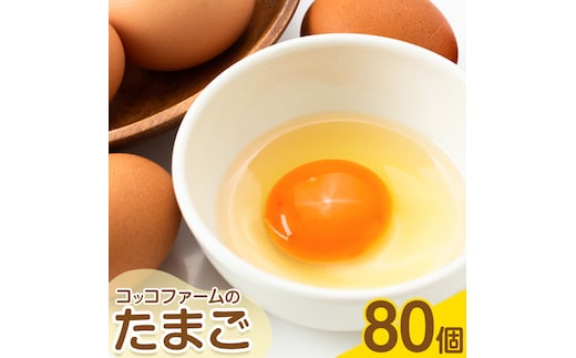 コッコファームのたまご 80個 コッコファーム《90日以内に出荷予定(土日祝除く)》熊本県 菊池市 卵 鶏卵 玉子 たまご 家庭用 熊本県産 九州産 冷蔵 送料無料---043-2020---