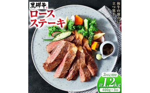 【3ヶ月定期便】牛肉 くまもと黒毛和牛 黒樺牛 A4-A5等級 ロースステーキ(1枚200g) 400g/月×3回 計1.2kg 杉本本店《お申し込み月の翌月から出荷開始》ステーキ 和牛 お肉 黒毛和牛 国産 九州産 熊本県産 冷凍 定期便 送料無料---090-1529-R---