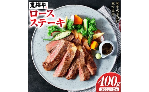 牛肉 くまもと黒毛和牛 黒樺牛 A4-A5等級 ロースステーキ(1枚200g) 計400g 杉本本店《90日以内に出荷予定(土日祝除く)》ステーキ 和牛 お肉 黒毛和牛 国産 九州産 熊本県産 冷凍 送料無料---090-1852-R---