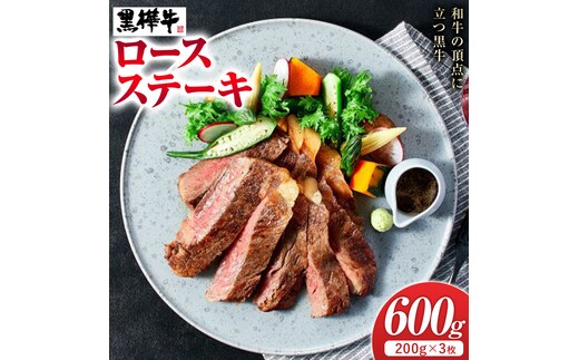 牛肉 くまもと黒毛和牛 黒樺牛 A4-A5等級 ロースステーキ(1枚200g) 計600g 杉本本店《90日以内に出荷予定(土日祝除く)》ステーキ 和牛 お肉 黒毛和牛 国産 九州産 熊本県産 冷凍 送料無料---090-2080-R---