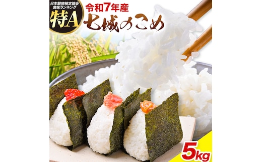 令和7年産 七城のこめ 精米 5kg ヒノヒカリ ひのひかり 有限会社七城町特産品センター 《30日以内に出荷予定(土日祝除く)》 熊本県 菊池市 定期便 お米 米 白米 九州産 熊本県産---003-0545---