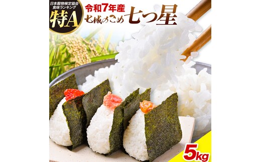 令和7年産 七城のこめ 特選米 七つ星 精米 ヒノヒカリ ひのひかり 5kg 有限会社七城町特産品センター《30日以内に出荷予定(土日祝を除く)》 熊本県 菊池市 お米 米 白米 九州産 熊本県産---003-0546---