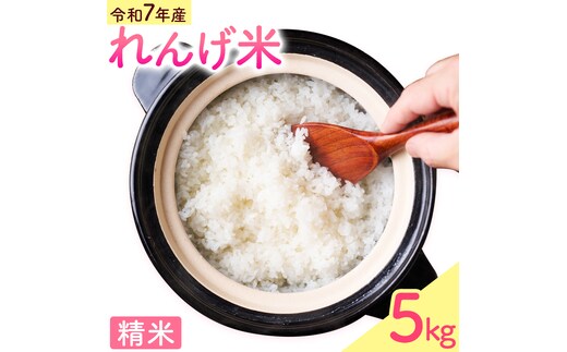 熊本県菊池市産のれんげ米 5kg 《30日以内に出荷予定(土日祝除く)》 精米方法 精米 お米 白米 レンゲ米 熊本県産 九州産 送料無料---313-0001---