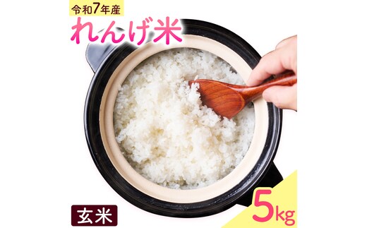 熊本県菊池市産のれんげ米 5kg 《30日以内に出荷予定(土日祝除く)》 精米方法 玄米 お米 レンゲ米 熊本県産 九州産 送料無料---313-0002---