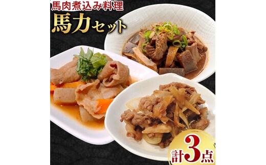 馬力セット 3種類 セット 計630g ホルモン煮込み しぐれ煮 スジ煮込み 株式会社有働精肉店《30日以内に出荷予定(土日祝除く)》熊本県 菊池市 おつまみ 惣菜 馬肉 ホルモン すじ肉 熊本県産 九州産 国産 冷凍 送料無料---181-2484---