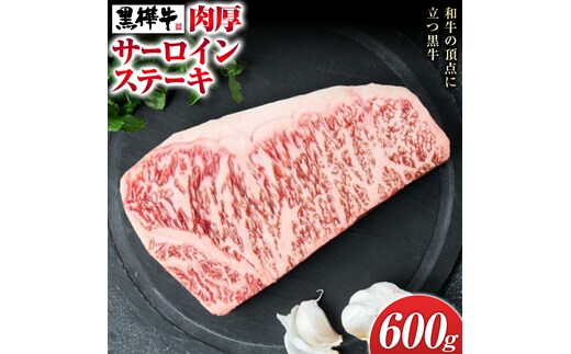 くまもと黒毛和牛 杉本本店 黒樺牛 A4~A5等級 肉厚サーロインステーキ 300g×2 計600g《90日以内に出荷予定(土日祝除く)》---090-1854-R---