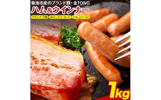 ハム工房TONGTONG ハム・ウインナーギフトセット 合計1010g 5種類 約1kg 食べ比べ 豚肉 セット ベーコン ハム ウインナー ソーセージ 金TONG 九州産 国産 熊本県産 冷凍 ギフト 贈りもの 送料無料《90日以内に出荷予定(土日祝除く)》---005-1974---