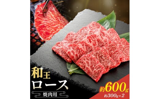 和王 ロース 焼肉用 約600g 約300g×2パック 菊池地域農業協同組合(JA菊池まんまキッチン)《90日以内に出荷予定(土日祝除く)》熊本県 菊池市 くまもと黒毛和牛 和牛 牛肉 お肉 焼き肉 熊本県産 九州産 国産 冷凍 送料無料---147-2122---