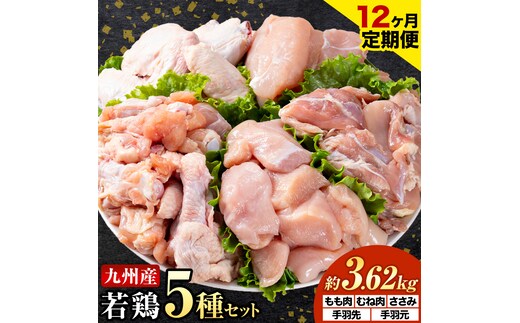 【12ヶ月定期便】 九州産若鶏もも肉 むね肉 ささみ 手羽先 手羽元 セット 計3.62kg 鶏肉 お肉 モモ肉 ムネ肉 5種類 詰め合わせ 小分け 冷凍 九州産 国産 熊本県 菊池市 送料無料《お申し込みの翌月から出荷》---0146-3115---