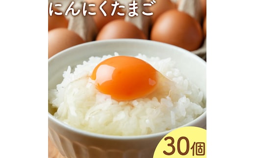 卵 にんにくたまご 内容量 30個 株式会社つづき《90日以内に出荷予定(土日祝除く)》熊本県 菊池市 卵 たまご にんにく卵 鶏卵 熊本県産 九州産 冷蔵 送料無料---064-2486---