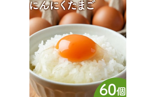 卵 にんにくたまご 内容量 60個 株式会社つづき《90日以内に出荷予定(土日祝除く)》熊本県 菊池市 卵 たまご にんにく卵 鶏卵 熊本県産 九州産 冷蔵 送料無料---064-2051---