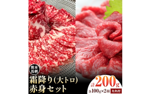 熊本 馬刺し 霜降り・赤身セット 2種類 各約100g 計約200g たれ 生姜付き 合同会社トライウィン《30日以内に出荷予定(土日祝除く)》熊本県 菊池市 馬刺 刺身 馬肉 霜降り 赤身 たれ付き 生姜 小分け 個包装 冷凍 送料無料---143-1896---