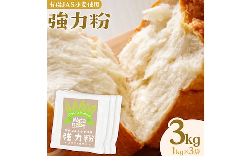 有機JAS小麦使用 強力粉 合計3kg 1kg×3袋 《30日以内に出荷予定(土日祝除く)》熊本県 菊池市 小麦粉 ミナミノカオリ パンづくり 粉類 国産 九州産 熊本県産 送料無料---171-1917---