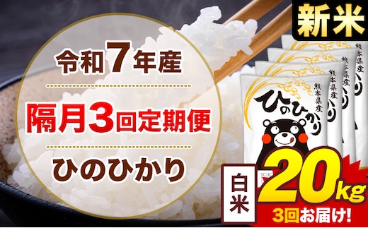 【隔月3回定期便】米 ひのひかり 白米 定期便 20kg《お申込み翌月から出荷》熊本県 菊池市 国産 熊本県産 白米 精米 送料無料 ヒノヒカリ こめ お米---300-4274---