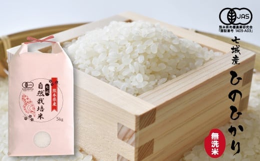 【令和7年産】【無洗米】有機JAS 七城産 ひのひかり 5kg《30日以内に出荷予定(土日祝除く)》---171-1913---