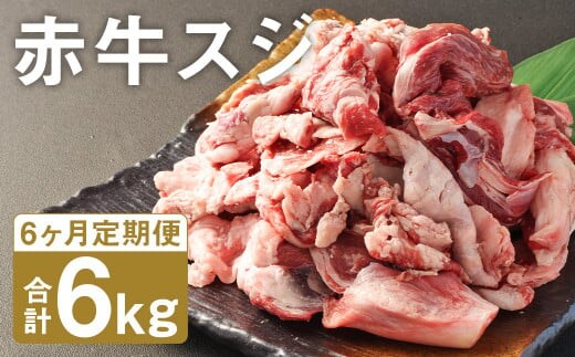 【6ヶ月定期便】 赤牛 スジ 1kg×1パック×6回 《お申し込みの翌月発送》牛肉 肉 あか牛 牛スジ 牛すじ 煮込み カレー 熊本県産 冷凍---187-2332---