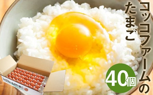 コッコファームのたまご 40個入 たまご タマゴ 卵《90日以内に出荷予定(土日祝除く)》---043-2444---