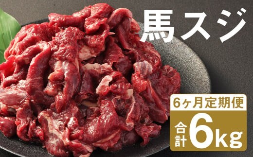 【6ヶ月定期便】 馬スジ 1kg （500g×2パック）×6回 《お申し込みの翌月発送》馬肉 肉 馬すじ スジ 定期 冷凍---187-2323---