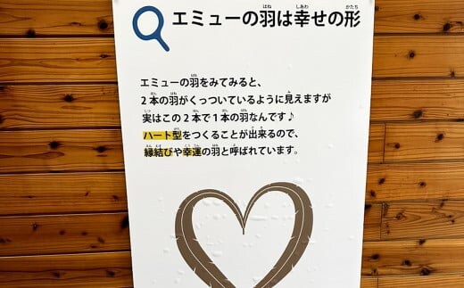 エミュー ストラップ 全長約20cm ストラップ付き 縁結び 羽根 雑貨