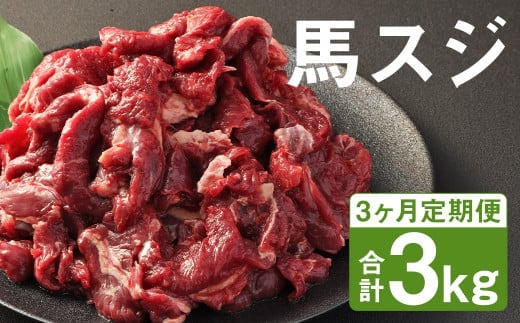 【3ヶ月定期便】 馬スジ 1kg （500g×2パック）×3回《お申し込みの翌月発送》 馬肉 肉 馬すじ スジ 定期 冷凍---187-2322---