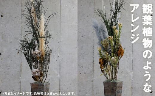 観葉植物のようなアレンジ 1個 ドライフラワー 植物 観葉植物 花 オシャレ インテリア《90日以内に出荷予定(土日祝除く)》---123-2256---
