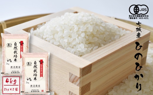 【精米】【令和7年産】有機JAS 七城産 ひのひかり 4kg(2kg×2袋)《30日以内に出荷予定(土日祝除く)---171-1912-S---
