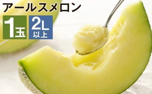 アールスメロン 1玉 2L以上 メロン フルーツ 果物 くだもの メロンドーム 《2026年7月下旬より発送》---003-1133---