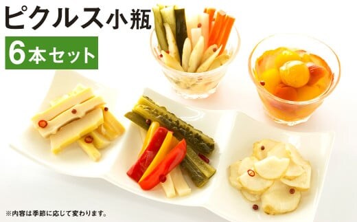 ピクルス 小瓶 (130~150g)×6本 セット 野菜 やさい 瓶詰め 【メロンドーム】《90日以内に出荷予定(土日祝除く)》---003-2412---