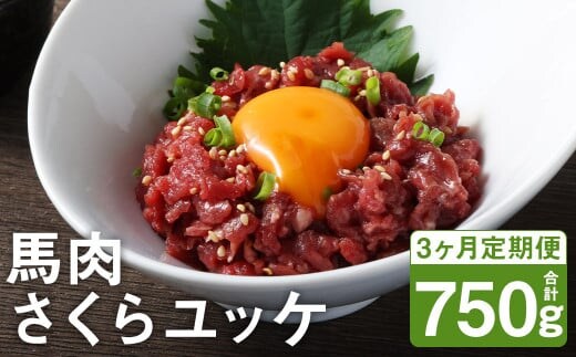 【3ヶ月定期便】 馬肉 さくらユッケ 250g（50g×5パック）×3回 《お申し込みの翌月発送》お肉 肉 ユッケ 赤身 馬刺し 馬刺 馬ユッケ 定期 小分け カット 冷凍---187-2319---
