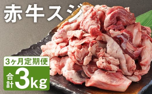 【3ヶ月定期便】 赤牛 スジ 1kg×1パック×3回 《お申し込みの翌月発送》牛肉 肉 あか牛 牛スジ 牛すじ 煮込み カレー 熊本県産 冷凍---187-2331---
