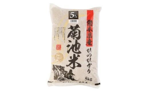 12ヶ月定期便】熊本県菊池産 ヒノヒカリ 5kg×4袋×12回 計240kg 5分づき