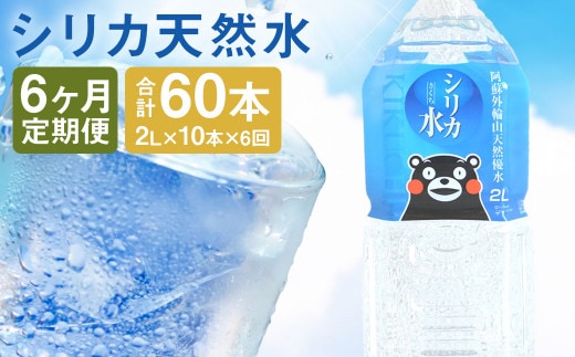 【定期便6回】シリカ天然水 2L×10本 計60本 《お申込み月の翌月から出荷開始》 ---159-1875---