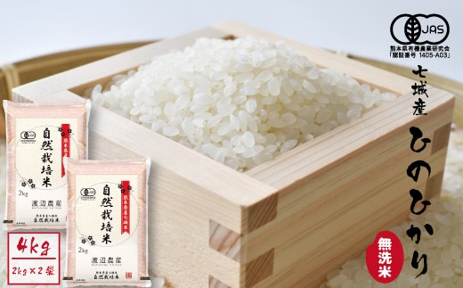 【令和7年産】【無洗米】有機JAS 七城産 ひのひかり 4kg(2kg×2袋)《30日以内に出荷予定(土日祝除く)》---171-1914---