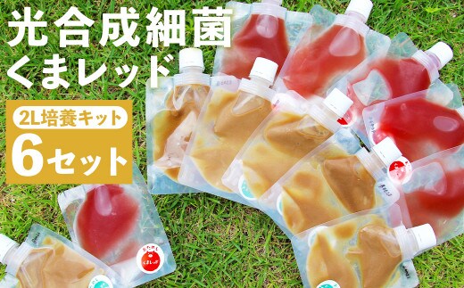 光合成細菌 ( 2L培養キット × 6セット )《90日以内に出荷予定(土日祝除く)》---178-2190---