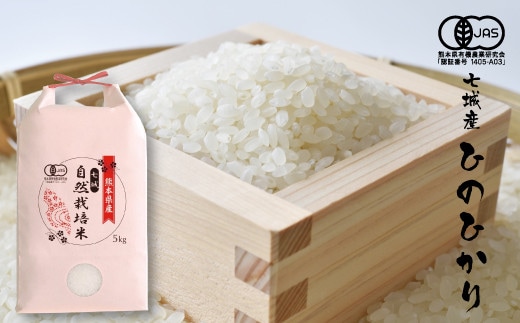 【精米】【令和7年産】有機JAS 七城産 ひのひかり 5kg《30日以内に出荷予定(土日祝除く)》---171-1911-S---