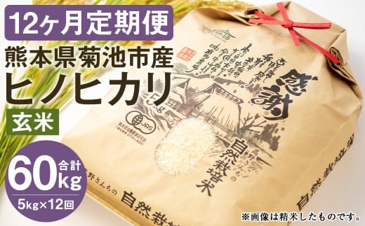 【真空パック】【定期便12ヶ月】〈令和7年産〉七城物語 高野さんちの 自然栽培米 (玄米) 5kg (2.5kg×2パック) 合計60kg お米 米 玄米 ヒノヒカリ《お申し込みの翌月から出荷》---045-3034---