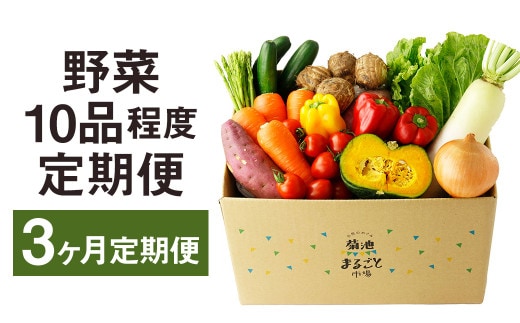 【定期便3回】 野菜 10品程度 詰め合わせ 3ヶ月 定期便 やさい 詰合せ セット【メロンドーム】《お申し込みの翌月から出荷》---003-1585---