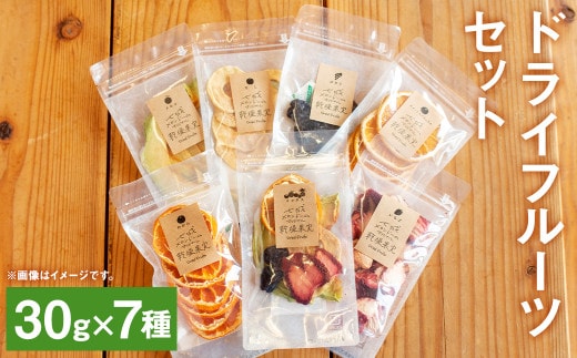 七種の ドライフルーツ セット 7種 30g×各1袋 合計210g 果物 フルーツ 果物 乾物 【メロンドーム】《90日以内に出荷予定(土日祝除く)》---003-2413---