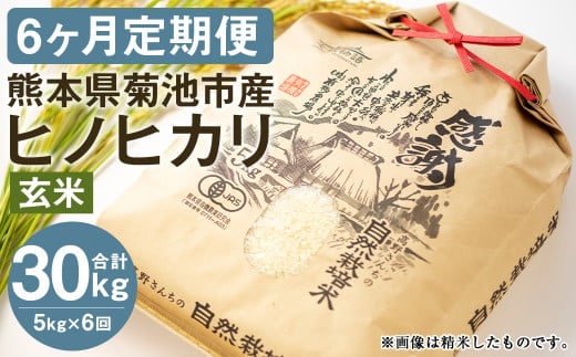 【通常パック】令和7年産【定期便6ヶ月】七城物語 高野さんちの 自然栽培米 (玄米) 5kg (2.5kg×2パック) 合計30kg お米 米 玄米 ヒノヒカリ《お申し込みの翌月から出荷》---045-3031---