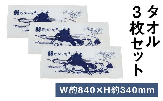 タオル 3枚 セット (菊池武光公) 《90日以内に出荷予定(土日祝除く)》---025-0753---