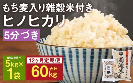 品質もよい (高級米)特Ａ熊本県産菊池米ヒノヒカリ20kg 米/穀物