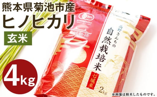 【真空パック】〈令和7年産〉熊本県菊池産 ヒノヒカリ 玄米 計4kg(2kg×2パック)七城物語 高野さんちの自然栽培米 米 お米 こめ コメ《30日以内に出荷予定(土日祝除く)》---045-3024---