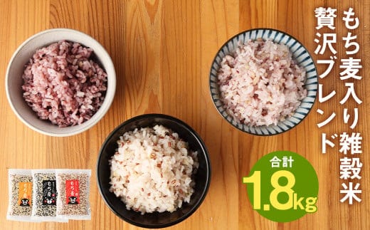 熊本県 菊池産 もち麦入り雑穀米 贅沢ブレンド 計1.8kg 600g×3種 《30日以内に出荷予定(土日祝除く)》---026-2525---