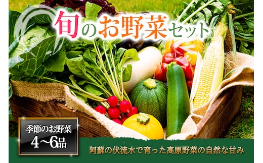 <畑から直送>季節のお野菜セットMサイズ