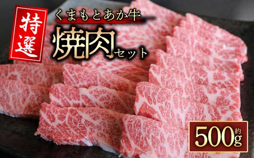 【阿蘇牧場】【GI認証】くまもとあか牛 特選焼肉用 500g