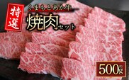 【阿蘇牧場】【GI認証】くまもとあか牛　特選焼肉用　500g